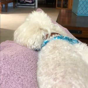 Meet your Posher, Lee-ann